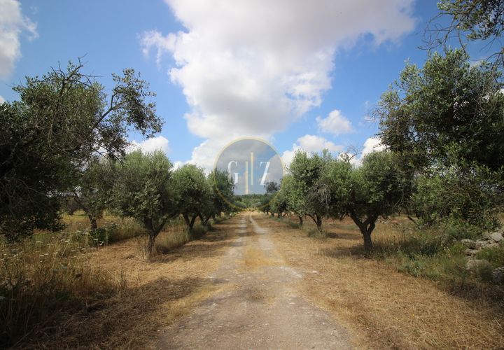 Landejendom i Calimera, Lecce, Calimera - € 135.000 | Ref:  CR001 - foto 1